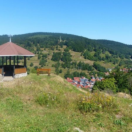 Ferienhaus Am Loeffelberghuettchen Gießübel エクステリア 写真
