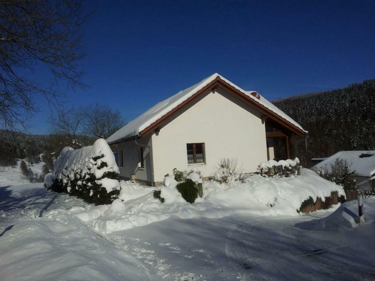 Ferienhaus Am Loeffelberghuettchen Gießübel エクステリア 写真