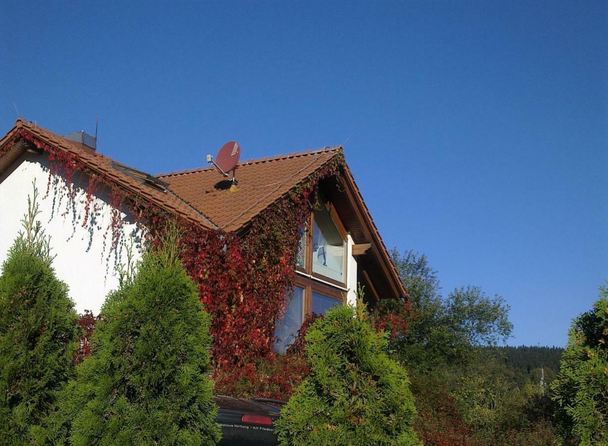 Ferienhaus Am Loeffelberghuettchen Gießübel エクステリア 写真